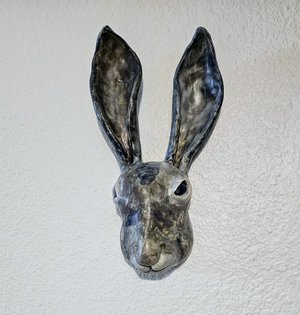 Jackrabbit Face by Diane Delaney (2024)