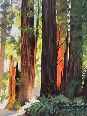 Fairy Ring in the Redwoods by Stephen Berry