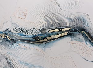 Stratum Series: Catch and Release by Sandy Thompson (2025)