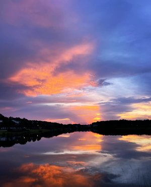 Devon Andrews — portfolio