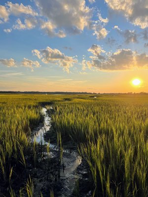 Marsh Meandering  by Devon Andrews