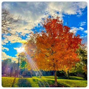 Sun-kissed  by Devon Andrews