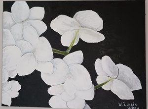 Orchids by Wendy Zirkin (2024)