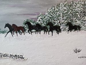 Wonder Of A Snowy Winter Run by Wendy Zirkin