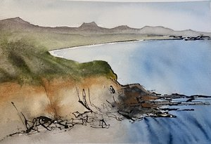 Launch Cove by Cam Arnold (2025)