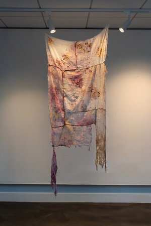 Contusion by Kallie Cassidy (2024)