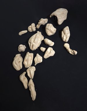 PUPA: Entity  by Seohyun Cho (2025)