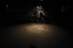 The space under my fingernails  by Willa Jaymes (2025)