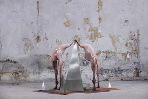 Bae you are such a good enduring horse by Phoebe Li (2025)