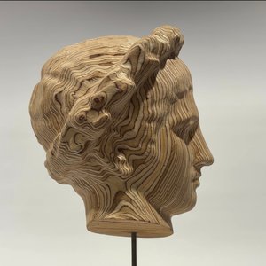 Plywood Pollux by Charles Ferguson