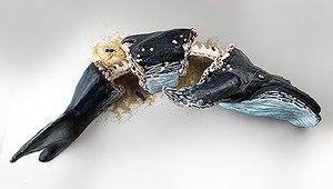 Drowned in our Debris by Dylan Psenka (2025)