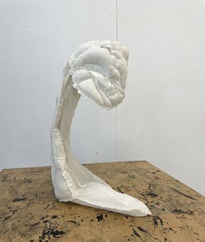 lop earred by Hollis Churchill (2023)