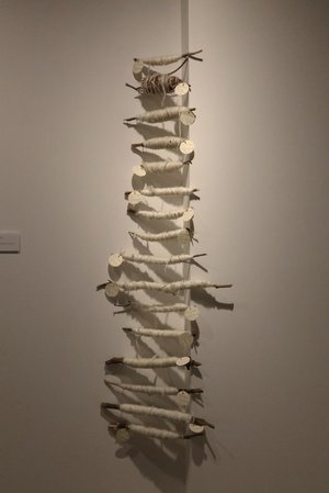 Walking as collaboration as connection  by Chloe Sampson (2024)