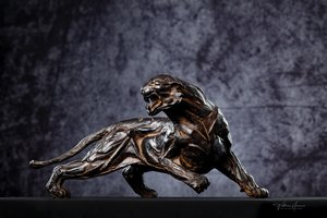 Ranthambore Tiger by Stéphane Deguilhen (2024)