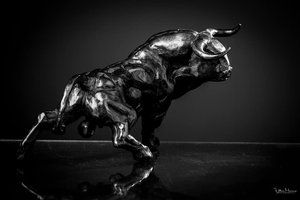 Charging Bull 2018 edition by Stéphane Deguilhen (2018)