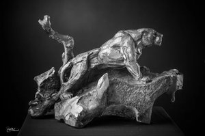 Lioness on the lookout by Stéphane Deguilhen (2016)