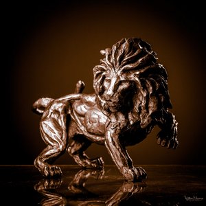 Lion on the lookout by Stéphane Deguilhen (2018)