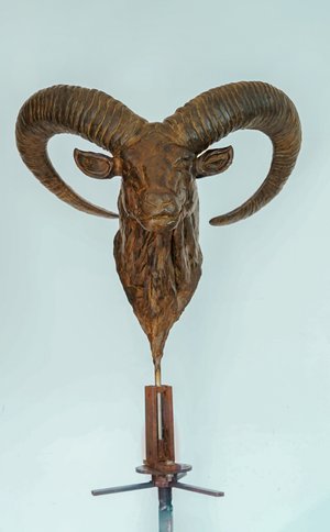 Corsican Mouflon by Stéphane Deguilhen (2025)