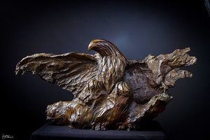 Bald Eagle by Stéphane Deguilhen (2012)