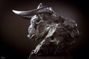Archigna Bull by Stéphane Deguilhen (2008)