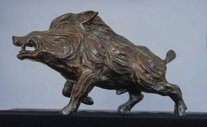 Corsican Wildboar by Stéphane Deguilhen (2026)