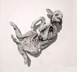 Zoe Nicole Nielsen — portfolio