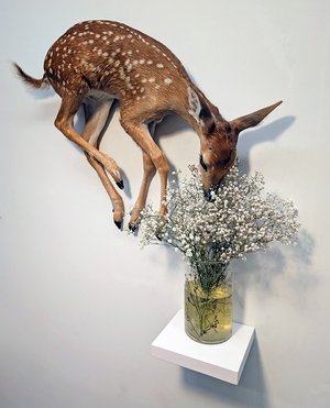 Tag, Baby's Breath by Zoe Nicole Nielsen (2025)
