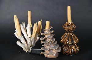 Seed Pods by Mia Conley (2024)