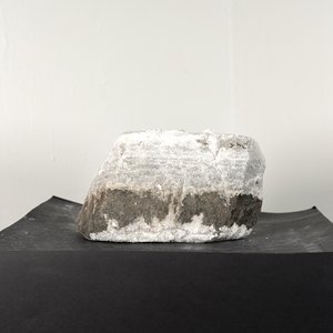 Efflorescence by Caroline Kindelt (2023)