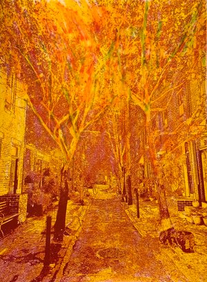 Electric by David Botkin