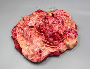 Specimen MMXXIV: Starving Sick by Kenzi Rayelle (2025)