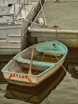 The Empty Boat by Mary Griffen