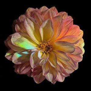 Refraction by Mary Griffen