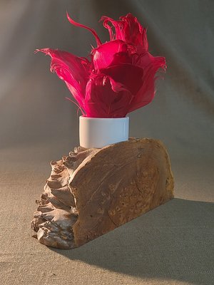 book end by David Goldmann (2025)