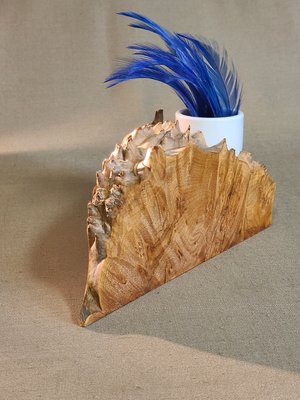 wedge by David Goldmann (2025)