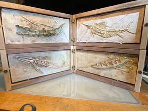 discovery boxes by Gregory Modelle