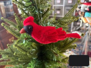 IMG_4506 by Jolene Vezzetti (2026)