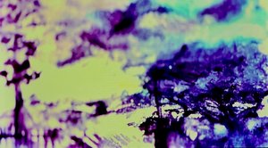 Ashley Calhoun — portfolio