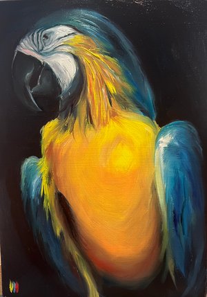 Caracas macaw by Erick I. Rodriguez (2024)