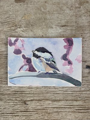 Ally Dzurka — portfolio