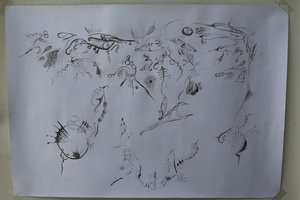 ZONA DE PASO VII by Luna D'Atri Sago