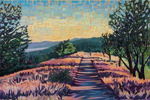 China Camp Trail by Sarah DeParis