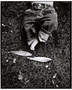 Portia Rowbury — portfolio