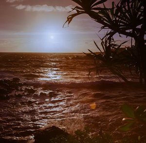 Maui Sunrise by Ashleigh Castro