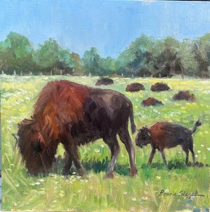 Bison Herd at Fermilab by Bonnie Siegel (2026)