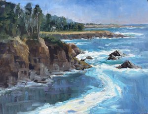 Wild Mendocino Coast by Bonnie Siegel (2026)