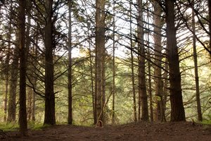 Amy Morgenstern — portfolio
