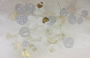 Illuminated Caper Bush Positive by Miranda Mote (2024)
