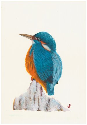 Vibrant Kingfisher by Jessica Nash (2026)