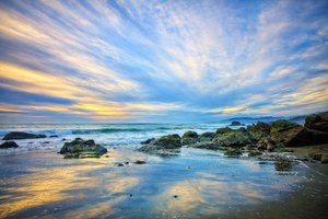 _MG_3155. Sprinkle of Gold Dust by Nancy Hernandez